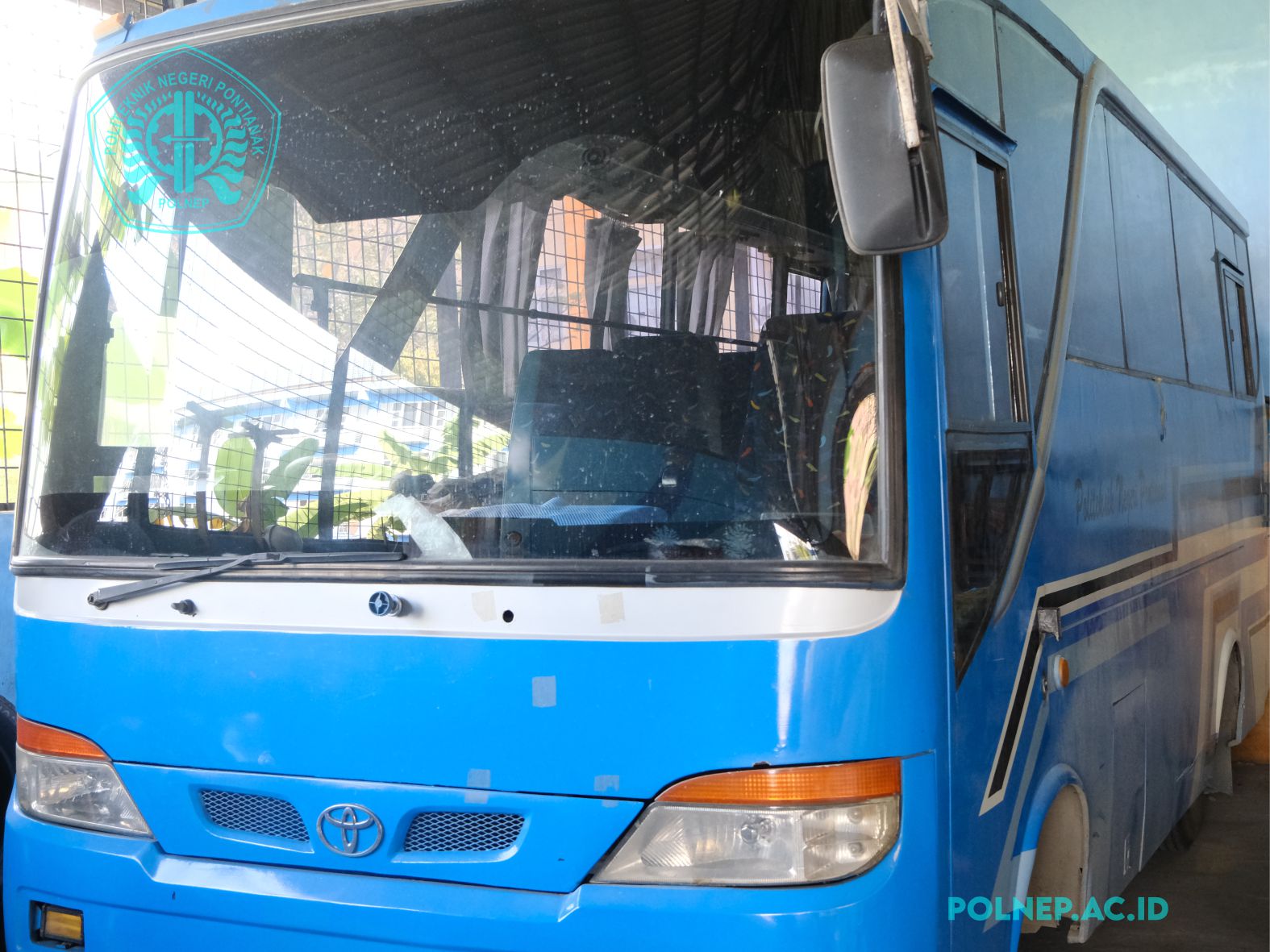 BUS 3